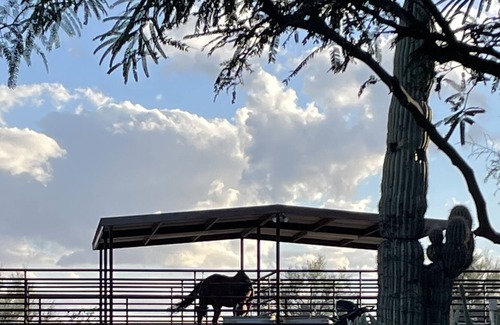 Wickenburg Apartamento | Spanish style casita on horse property in the heart of Wickenburg