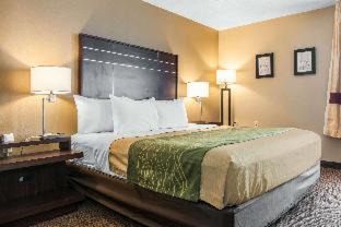 Fort Wayne Hotel | Spark By Hilton Fort Wayne