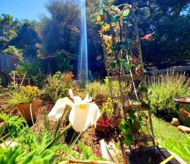 Fernwood Casa | Sparkling Gem Set Between Mountain and Ocean