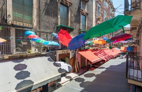 Old Town Casa | Spazio Pardo