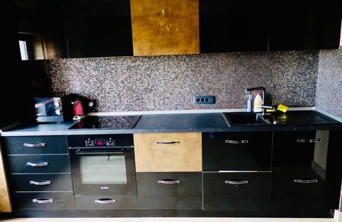 Timisoara Apartamento | Special Big Apartm with Art SB11