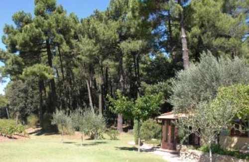 Bollene Casa | Casa / villa / chalet - BOLLENE
