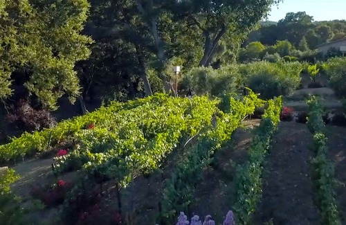 Atascadero Casa | Espectacular casa y viñedo Westside Paso Robles Wine Country