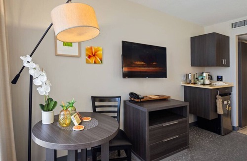 Waikiki Apartamento | Spectacular Urban Location - A Peaceful Surrender in Waikiki