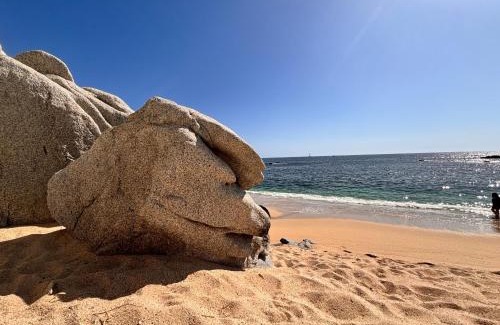 Cabo Bello Casa | Spectacular Vacation Home Ocean View Walk to Beach