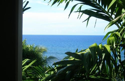 Naranja Casa | Speedway Blvd Townhouse