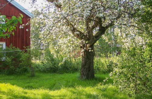 Lingbo Casa | Spend an unforgettable time in a spacious vacation home close to nature.