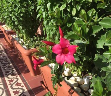 Rhodes Hotel | Sperveri Boutique Hotel