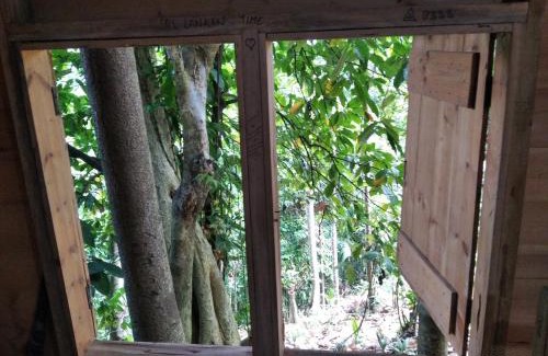 Rattota Cabina | Spiritual Nature Farm - Sri Lanka