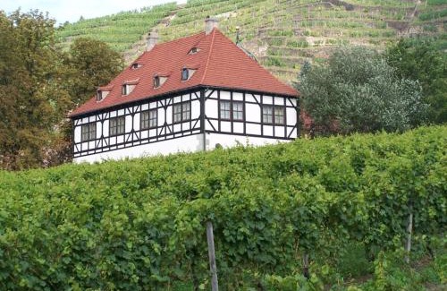 Radebeul Casa | "Spitzhausblick" in het Huis Felix