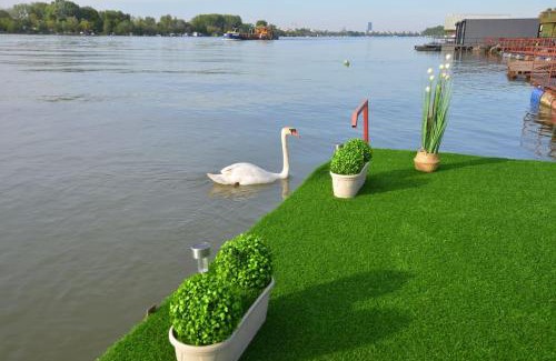 Cukarica Apartamento | Splav Advance Sunset River House