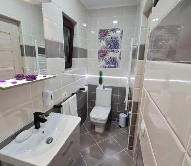 Fagaras Casa | Splendid House