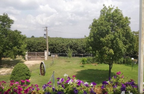 Vignanello Villa | Splendida villa con piscina