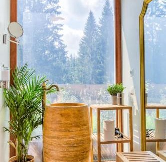 Poiana Brasov Apartamento | Splendor 3 bedroom flat in Silver Mountain