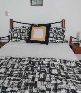 Trujillo Casa | Spondylus