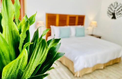 South Beach Cama Y Desayuno | SpoonDrift Hostal Kenting