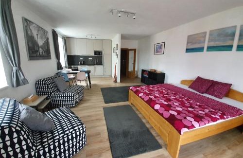 Lipno nad Vltavou Apartamento | Sport Apartment
