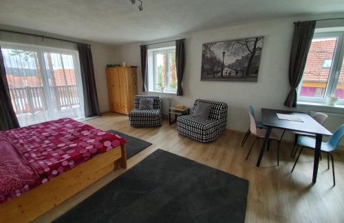 Lipno nad Vltavou Apartamento | Sport Apartment