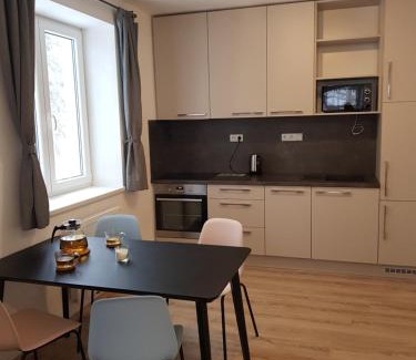 Lipno nad Vltavou Apartamento | Sport Apartment