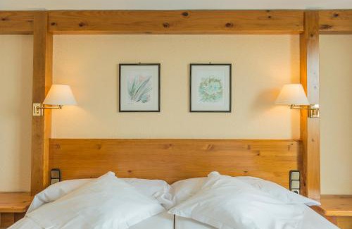 Soldeu Hotel | Sport Hotel