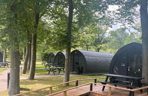 Oksbol Complejo | SportsPark Blaavandshuk Resort