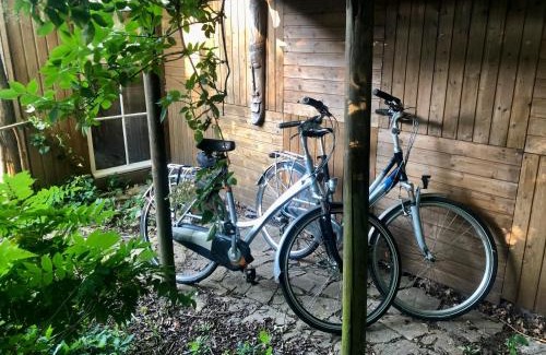 Laag Zuthem Cabina | Sprookjesachtige blokhut