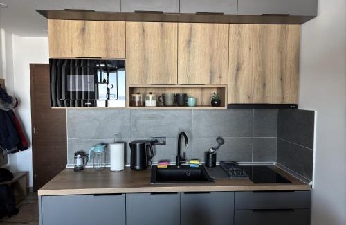 Kopaonik Apartamento | Squirrel Viewpoint Apartment Residence Hill B124