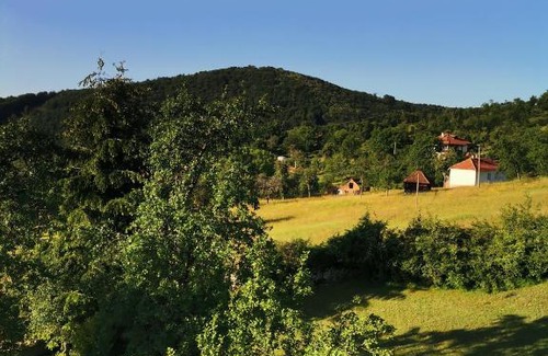 Zlatibor Casa | Srdića Kuća