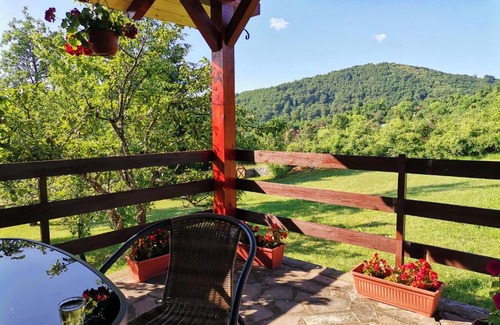 Zlatibor Casa | Srdića Kuća
