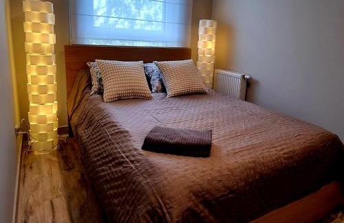 Lodz Apartamento | Srebrna Ostoja 65- Atlas Arena, PIOTRKOWSKA, Manufaktura, PRYWATNY PARKING