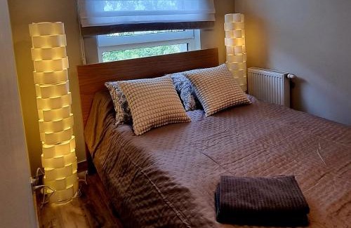 Lodz Apartamento | Srebrna Ostoja 65- Atlas Arena, PIOTRKOWSKA, Manufaktura, PRYWATNY PARKING
