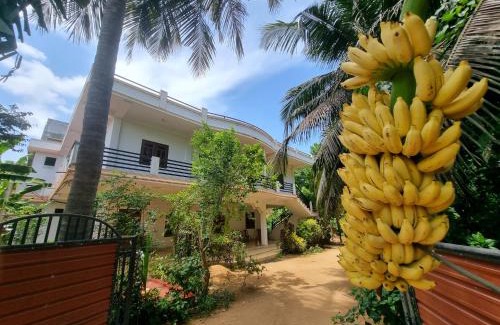 Nallur Casa | Sri Kumaran