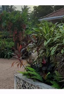 Negombo Casa | Srilal's Guest House