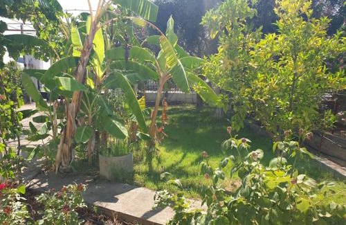 Aipeia Casa | St Andrews Seafront Appartement