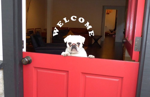 St. Helena Casa | St. Helena Bungalow Steps from Main Street | Pet Friendly | 30 Day Minimum