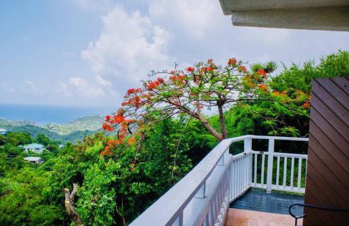 Estate Pastory Apartamento | St John, USVI, Hillside Villa, Cruz Bay