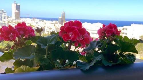 Ta' Giorni Apartamento | St. Julian's Super Bright And Spacious Seaview Apartment