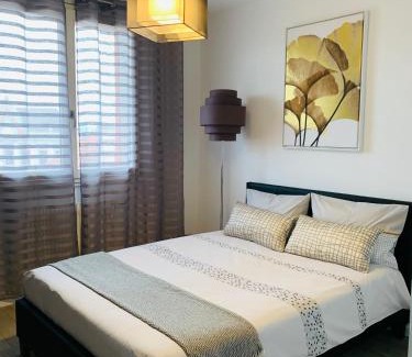Roanne Apartamento | St Louis Appartement
