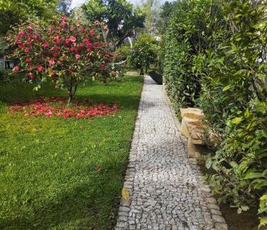 Tomar Villa | St Mary House