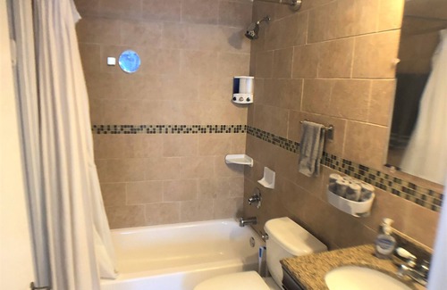 St. Petersburg - Clearwater Condominio | S t. Pete / Tampa 1 cama / 1 baño condominio / suite