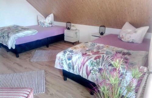 Dorfles-Esbach Apartamento | Stadler Ferienwohnung