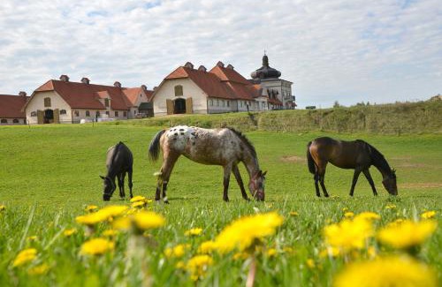 Mikolajewo Casa | Stadnina Koni Nad Wigrami