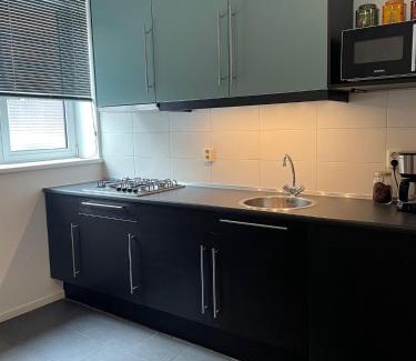 Nijmegen-Centrum Apartamento | Stadsappartement Valkhof