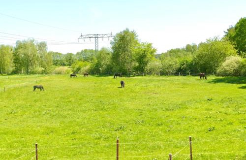 Nuthetal Apartamento | Stallgeflüster Lodge