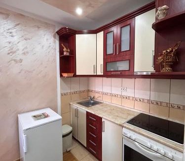Sabac Apartamento | Stan Aleksić