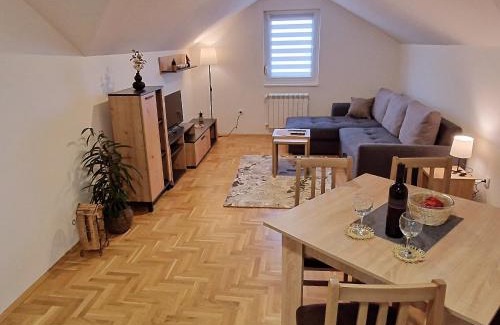 Pozarevac Apartamento | Stan na dan Apartman S