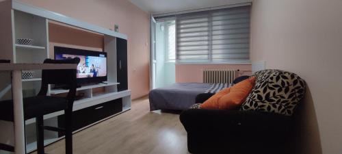 Bor Apartamento | Stan na dan Bor