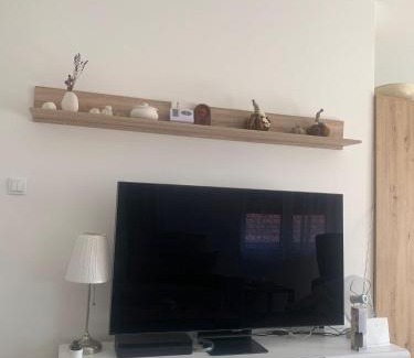 Mladenovac Apartamento | Stan na dan Djole
