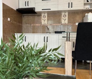 Vrbas Apartamento | Stan na dan La familia Vrbas