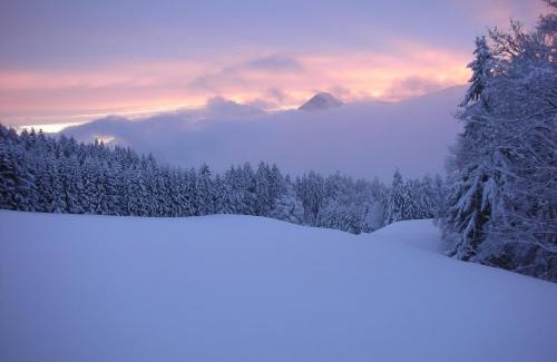 Wiesing Casa | Stangleggerhof